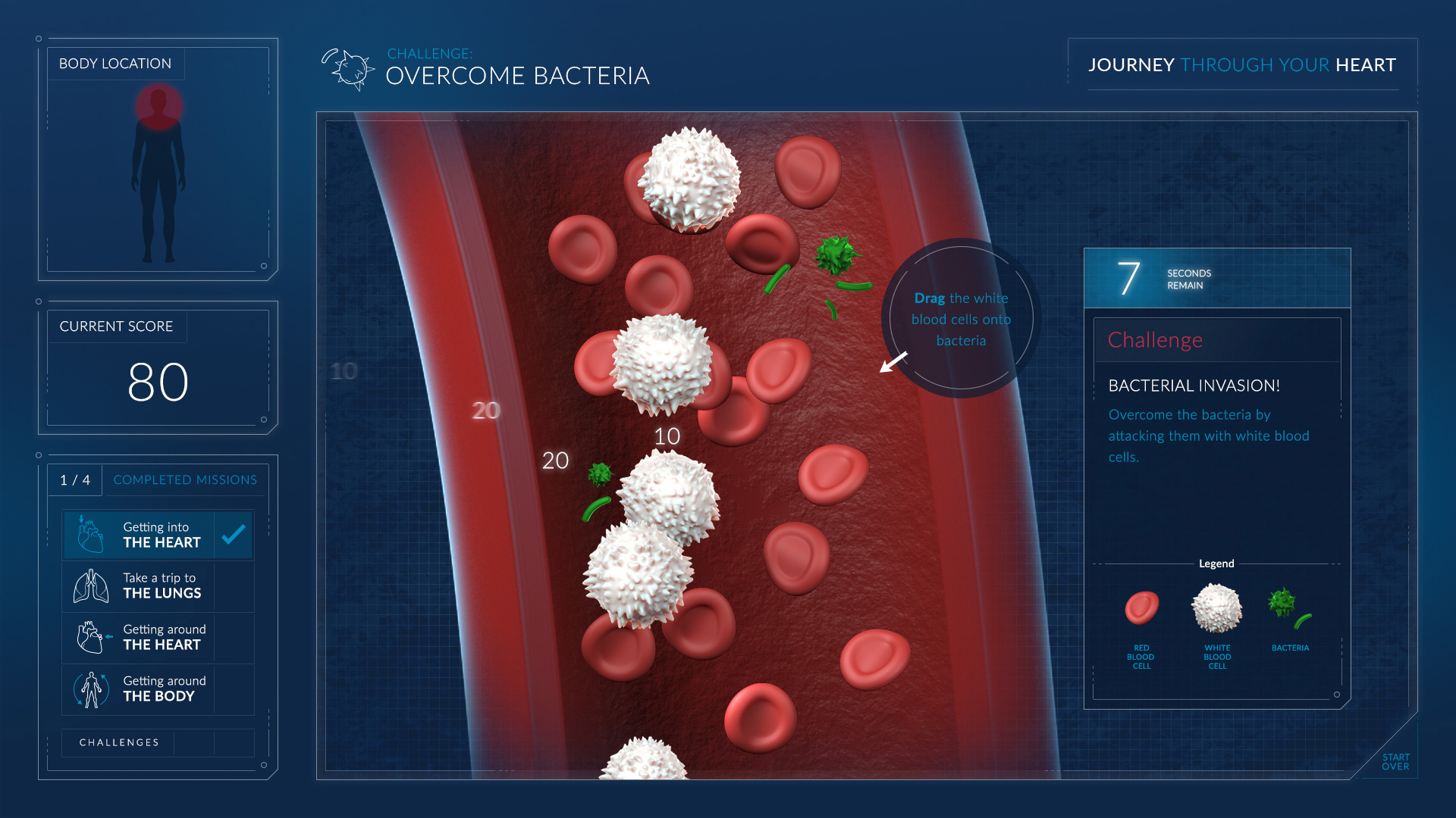 Heart_02_Bacteria3