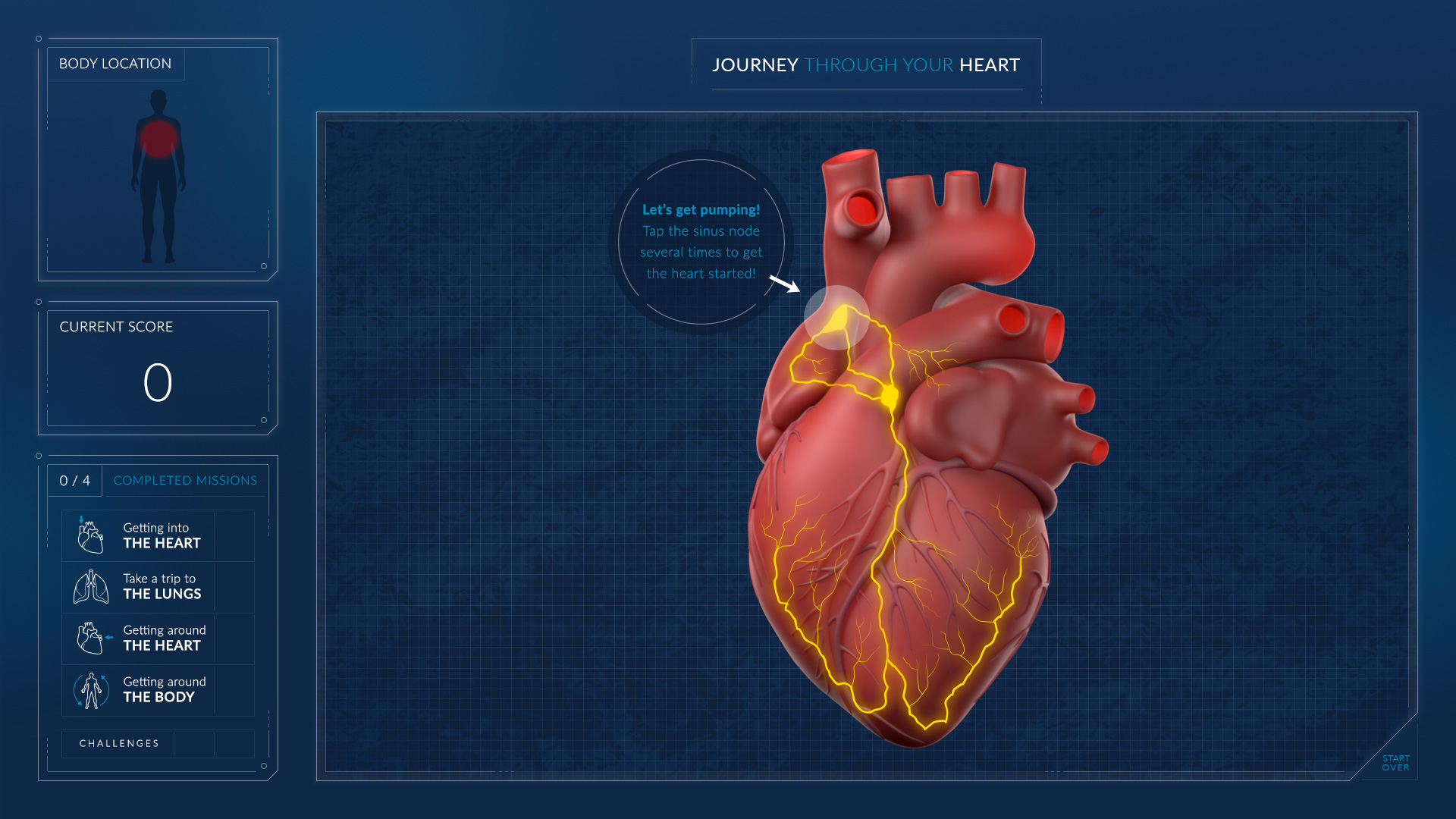 Heart_SinusNode-Electrical